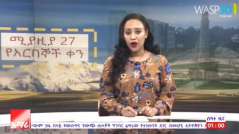 WASP3D Templated Graphics were used while Amhara TV